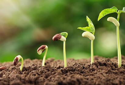 one earth future is an incubator of peacebuilding programs
